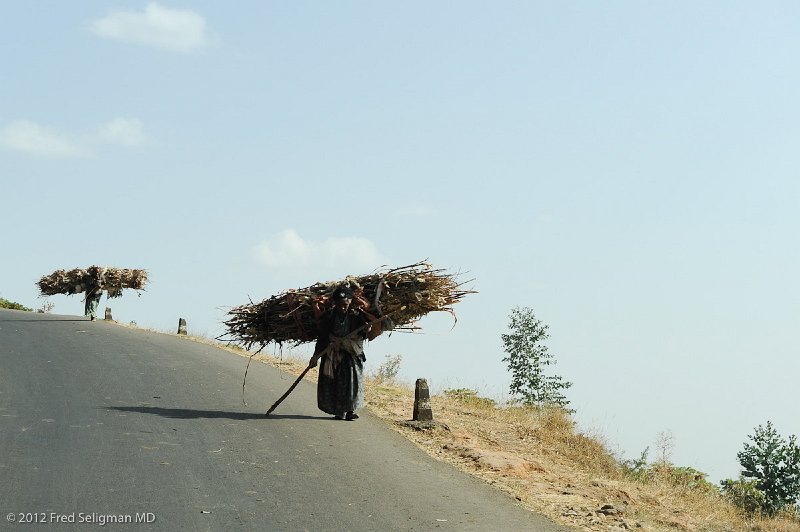 20120328_160905 Nikon D3S 2x3.jpg - Much of the carrying is downhill from the hils to the central city